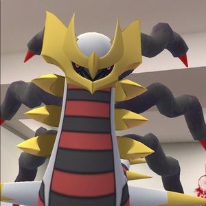 Meet your Posher, Evan